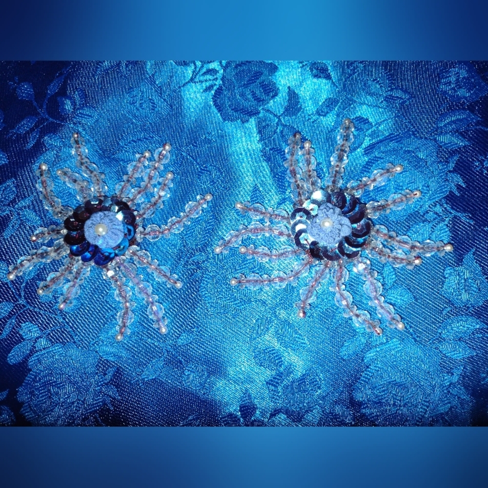 Beaded Earrings/Pendant